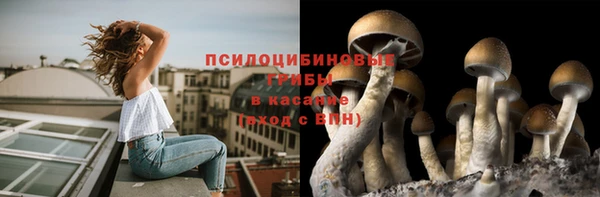 стаф Лабытнанги