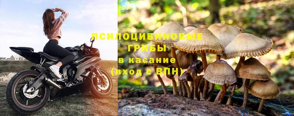 экстази Лагань