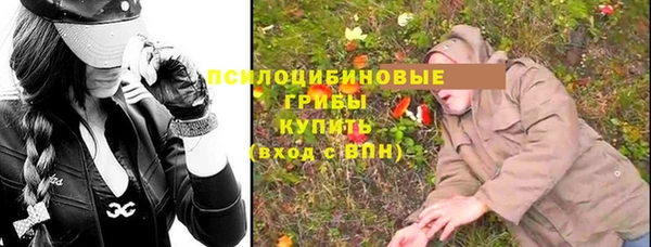 МДПВ Ладушкин