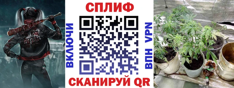Купить  Карачев  Конопля тримм 